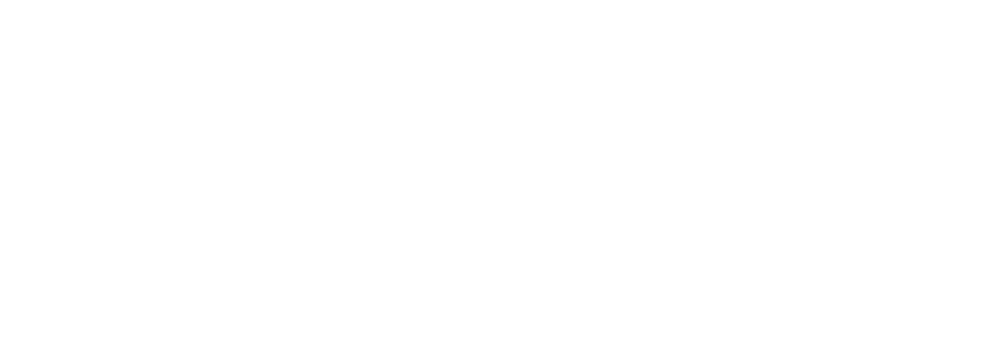 LIDEMA